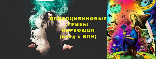 мдпв Белокуриха