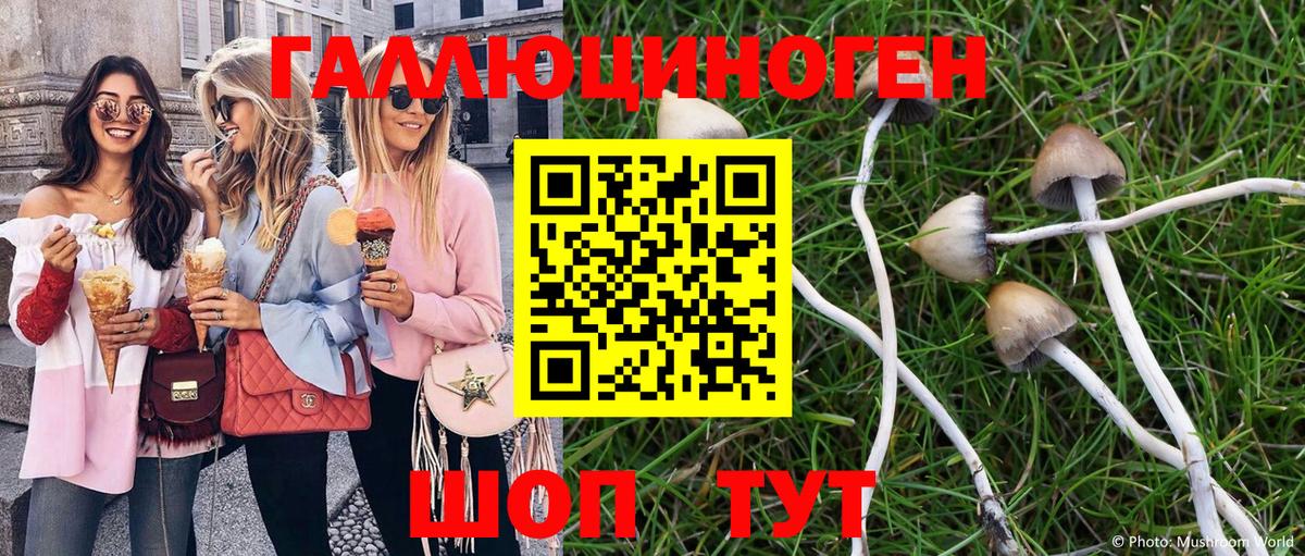Галлюциногенные грибы GOLDEN TEACHER  как найти закладки  Сердобск  Вход с VPN 
