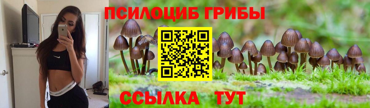 Псилоцибиновые грибы прущие грибы Сердобск
